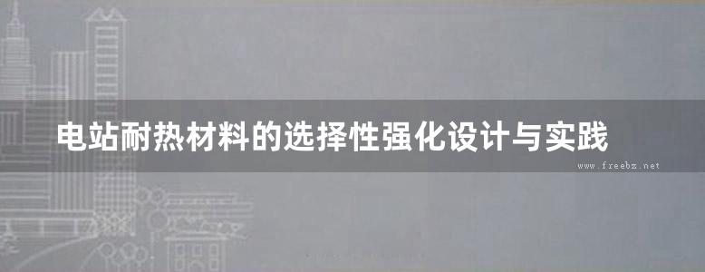 电站耐热材料的选择性强化设计与实践 刘正东著 (2017版)